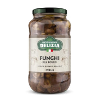 FUNGHI DI BOSCO SHIITAKE IN...