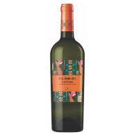 VINO BIANCO FALANGHINA...