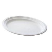PIATTO OVALE 26X19 POLPA DI...