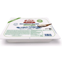 MOZZAR. JULIENNE SABELLI...